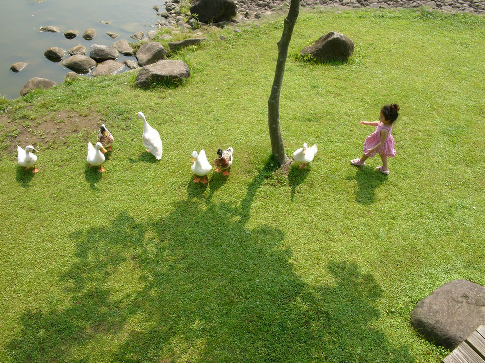 写真 6-21-05 13 59 14.jpg