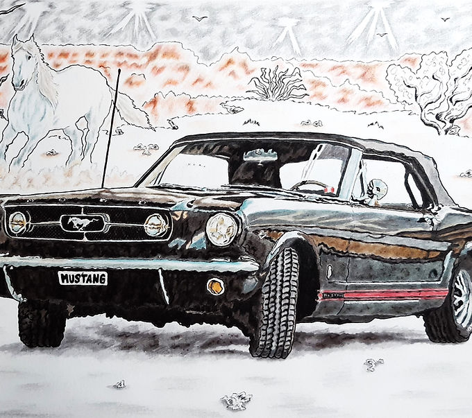 West wild horse (Mustang) bis 1 b - Alexandre De Kok.jpg