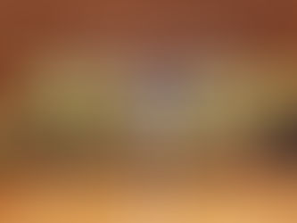 TARTARUGA鳥取鳥取県リーグ2015シーズン優勝！！