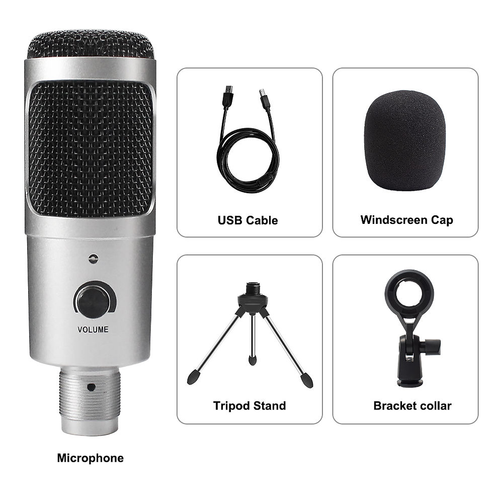 Thumbnail: USB Microphone Condenser D80 Recording Microphone with Stand and Ring Light for 