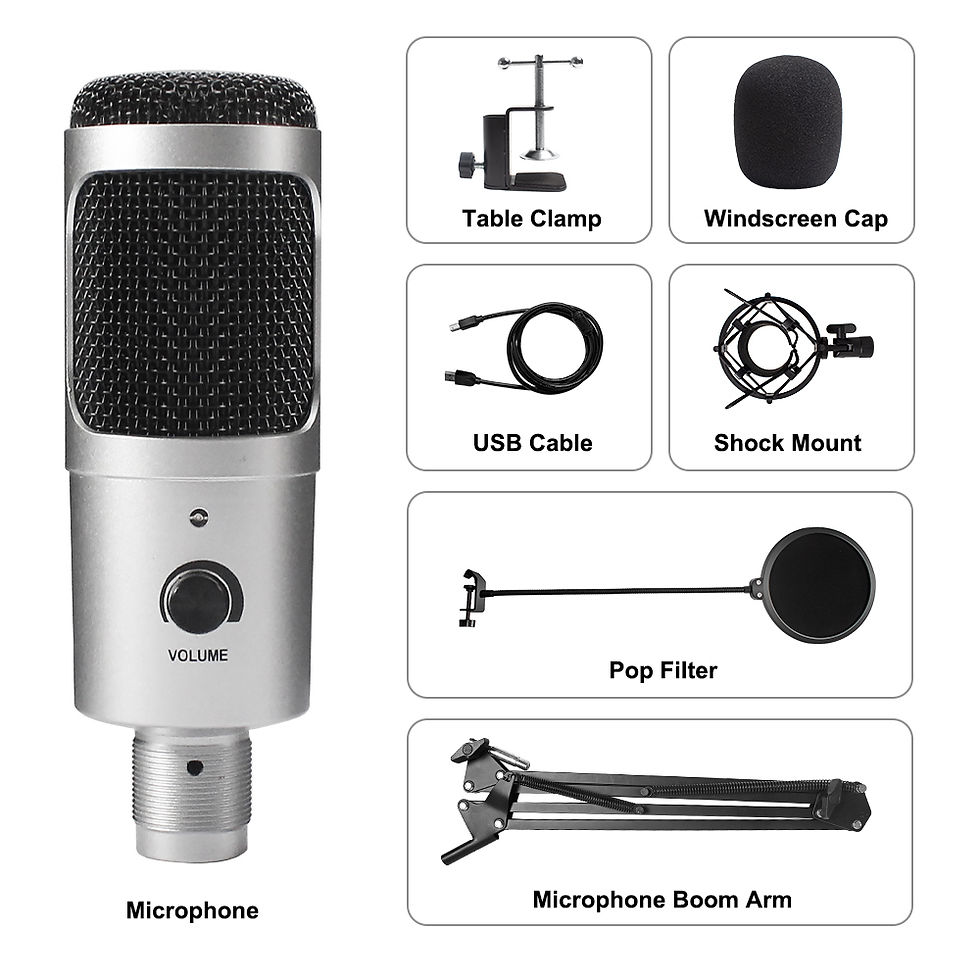 Thumbnail: USB Microphone Condenser D80 Recording Microphone with Stand and Ring Light for 