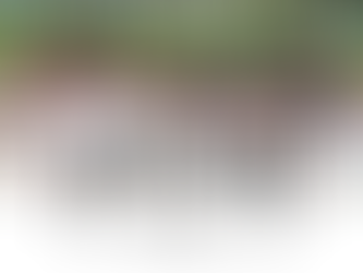 【活動報告】2025年11月2日 vs ノンベーズ(日岡山グラウンド)