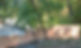 20201005_145236_HDR_edited_edited.jpg