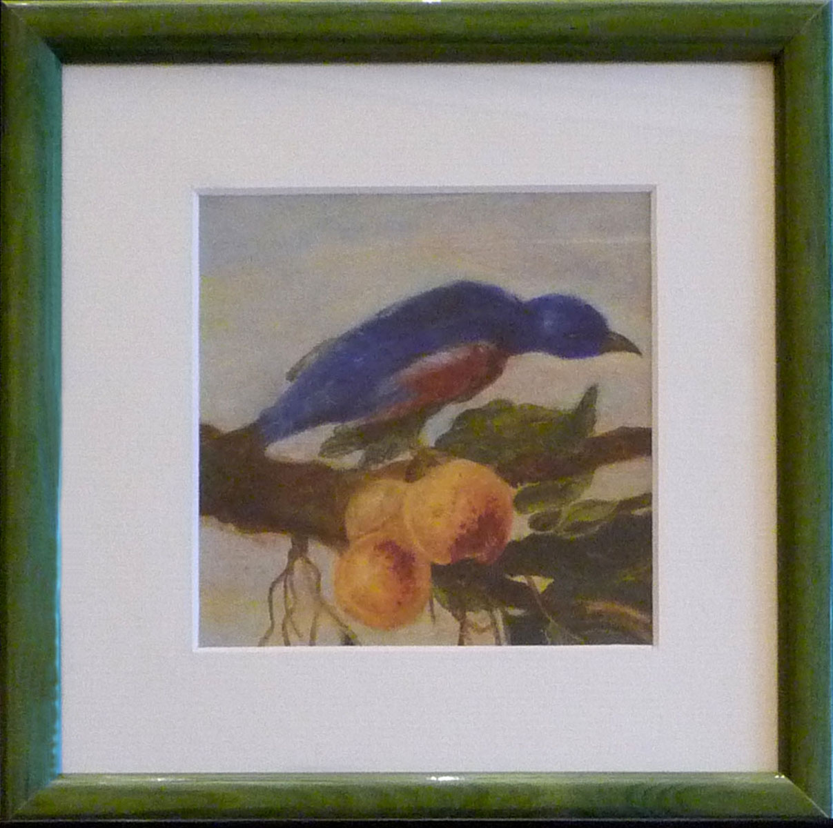Perroquets et autres oiseaux