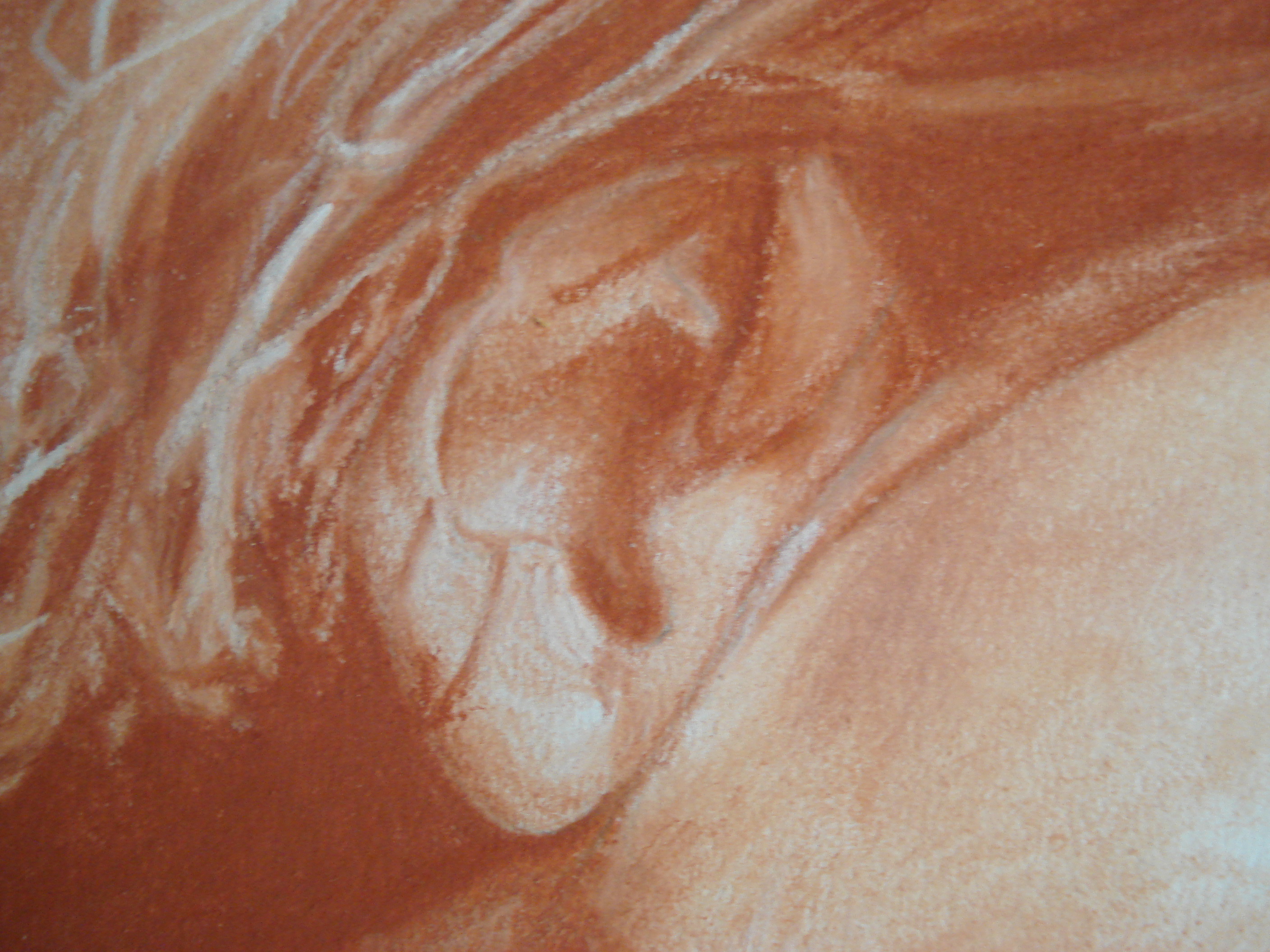 Détail du portrait d'enfant