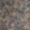 Golden Beach 50% 7mm Black.jpeg