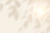 TVE-Background.jpg