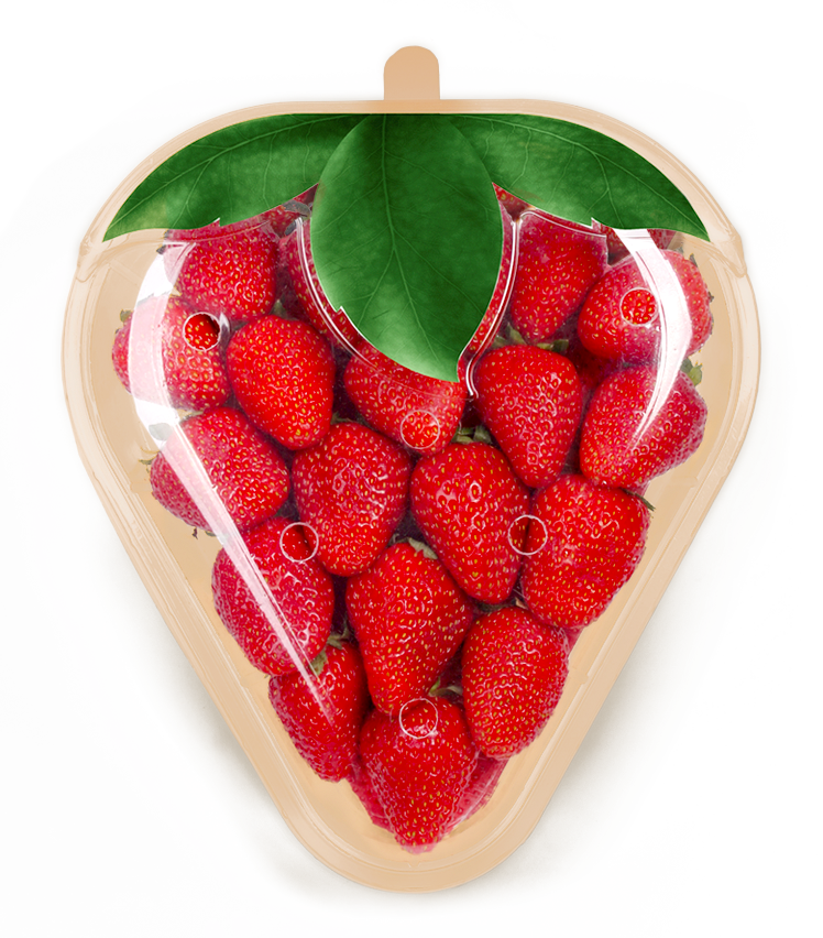 Fresa (ESPECIAL - 450g)