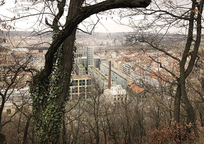 Barbora Červeňová _ atelier kuzemenský k