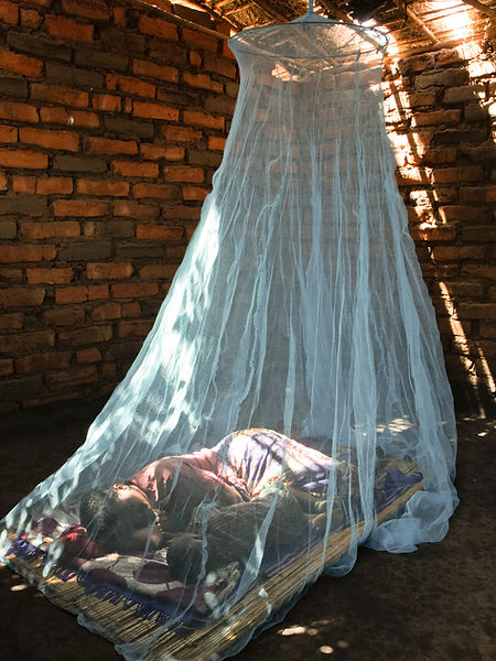 14. Malaria.jpg