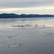 Promenade glaciale