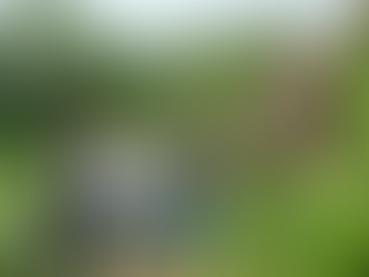 Câmara de Vereadores acompanha avanços na construção da escadaria do Porto do Baião