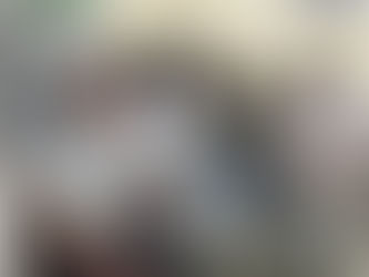 Vereadores realizam reunião de Comissões para análise e parecer de Projetos de Lei