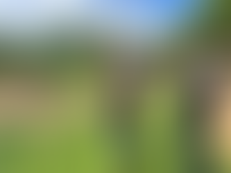 Vereadores fiscalizam Rua Chagas Sabino após denúncia de descarte irregular de entulhos