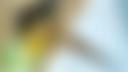 同事放假，你工作变多？9 招教你独守公司也能得心应手！