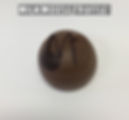 Milk Moose Truffle!