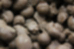 Double Dipped Peanuts!