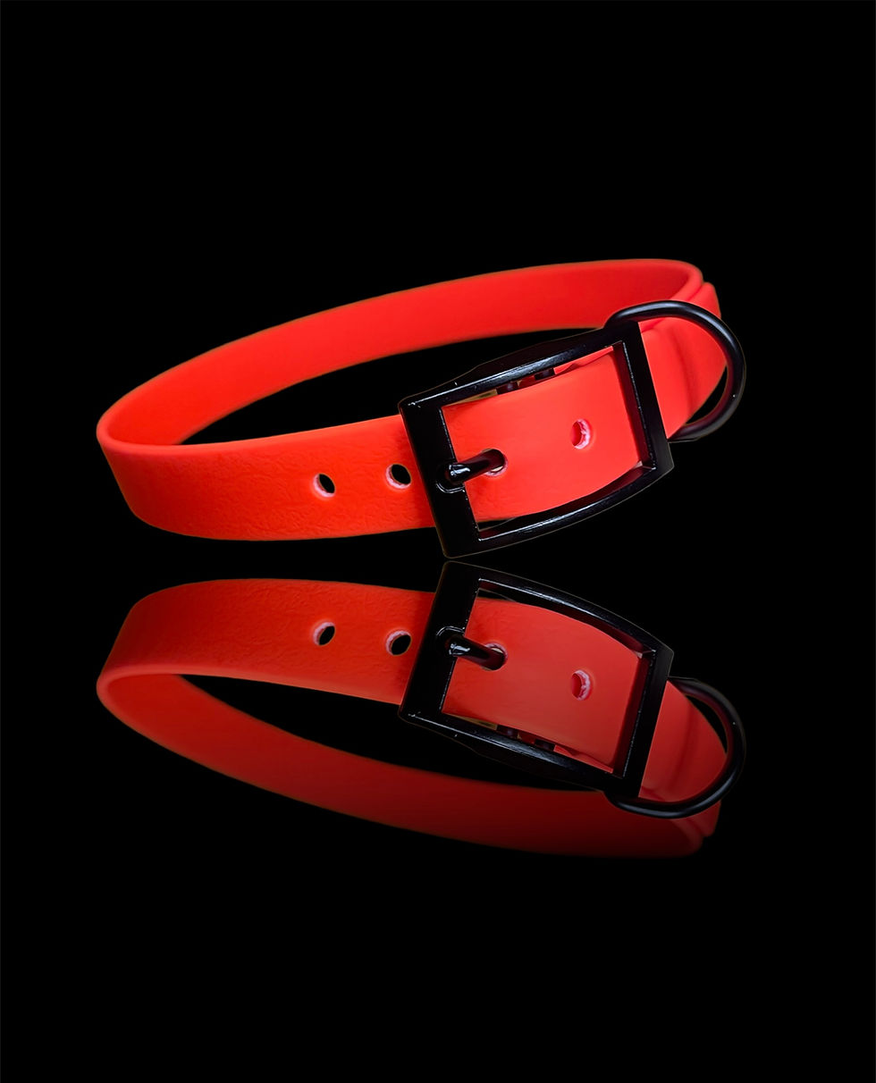 Halsband neonorgange mit schwarzen Beschlägen