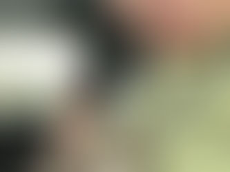 Little friend found in trailer.