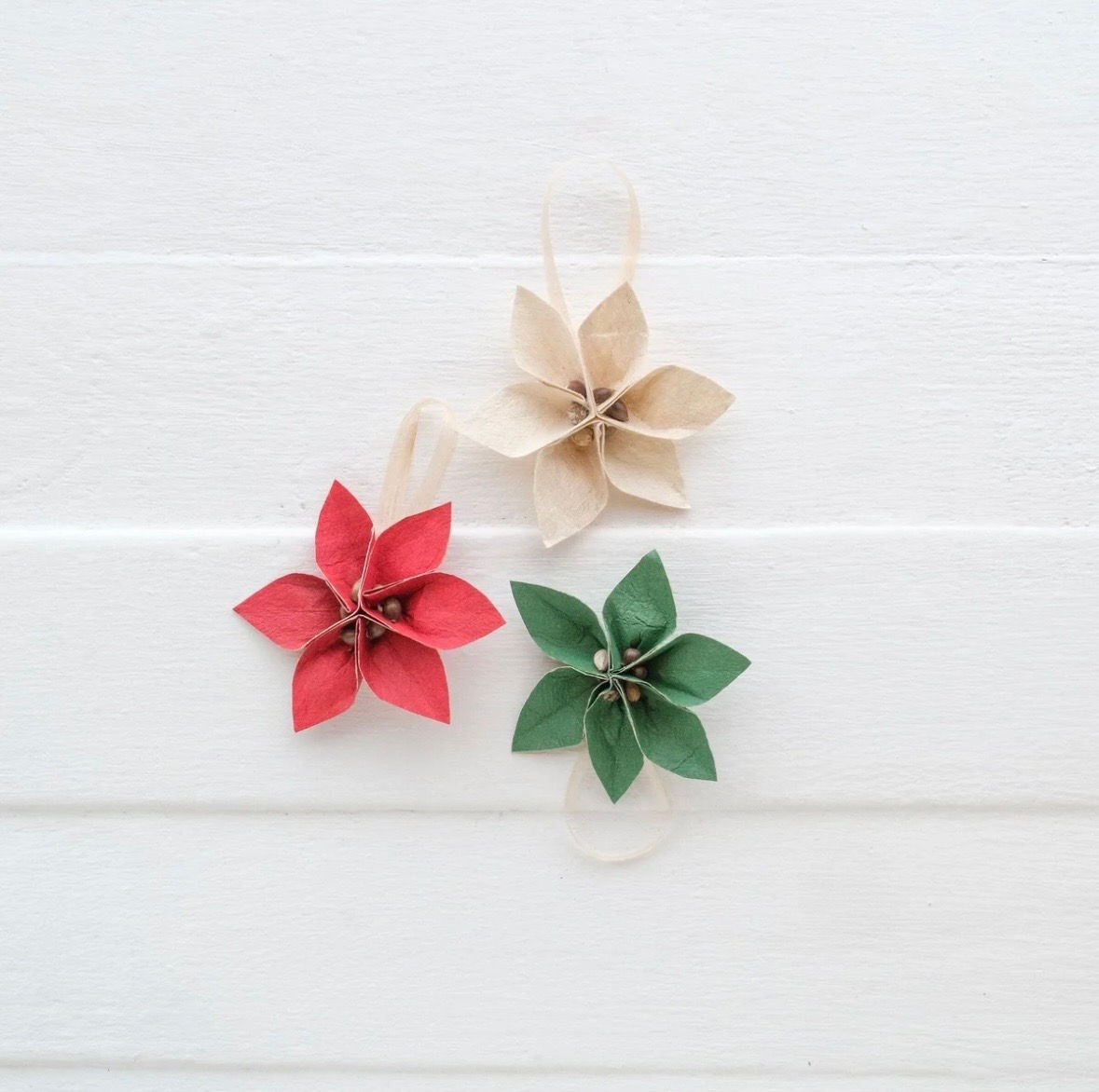 RISE BEYOND THE REEF XMAS Masi Flower