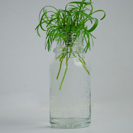 The Future of Sustainable Fragrance in Consumer Goods: What Brands Need to Know