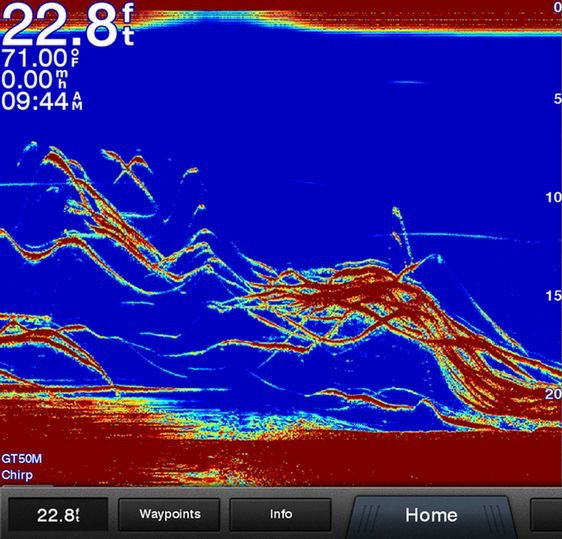 Understanding How to Tune Your Fish Finder
