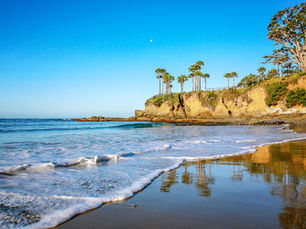 A Beginner's Guide to Spearfishing Orange County, California: Species, Spots, Gear, and Techniques