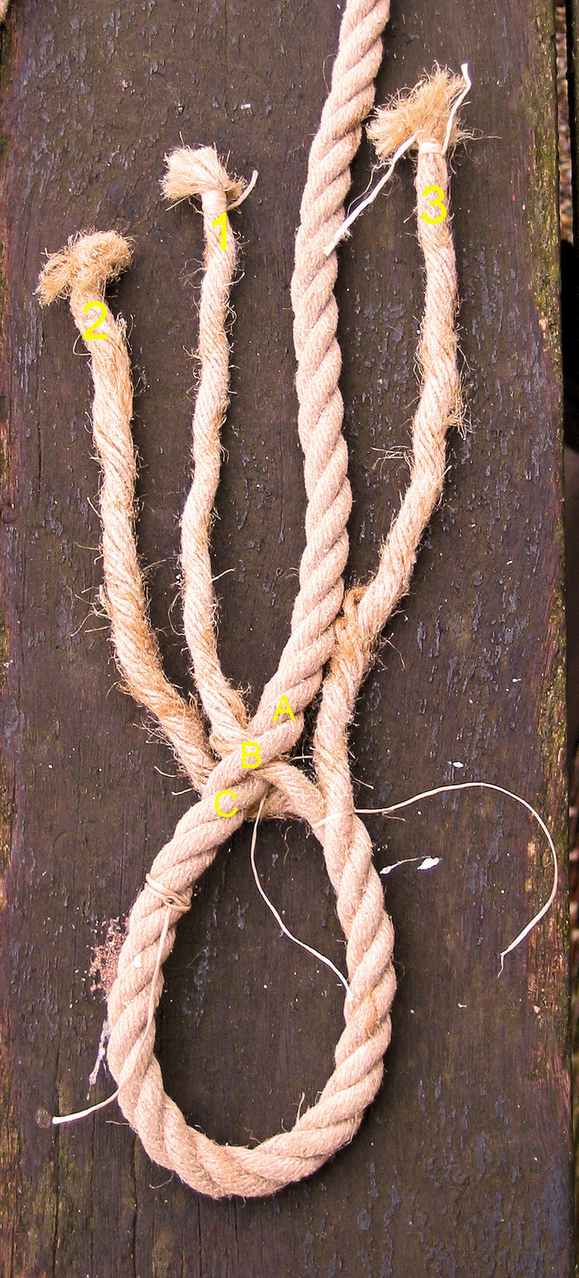 Eye splice in progress showing the fid pulling the tail through the hollow Dyneema braid