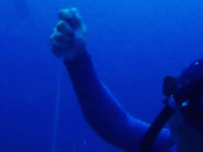 The mammalian dive reflex. How your human physiology adapts to free diving