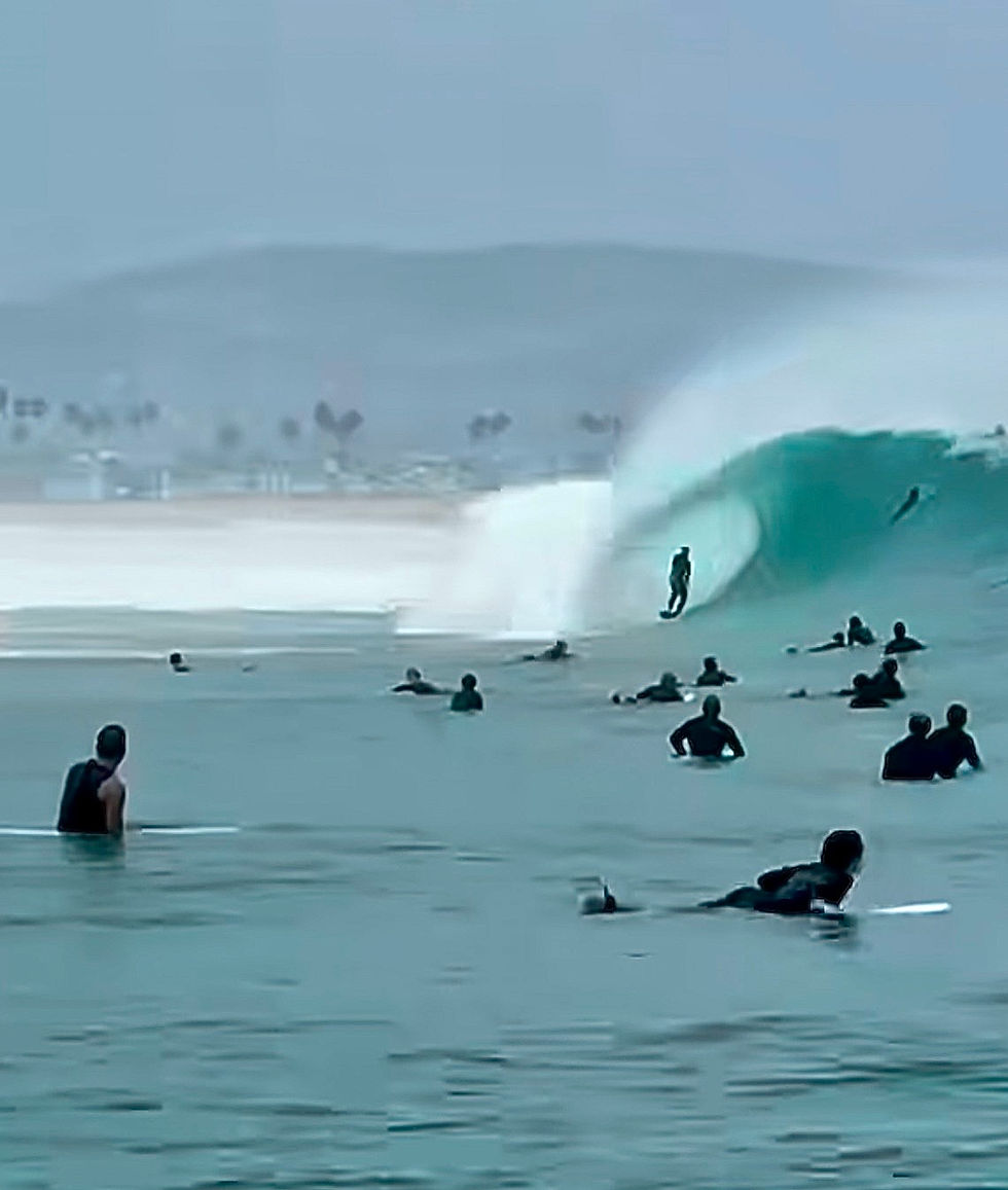 The Marie Report: How One South Swell Reshaped Southern California Diving