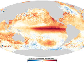 Global Sea Surface during El Niño