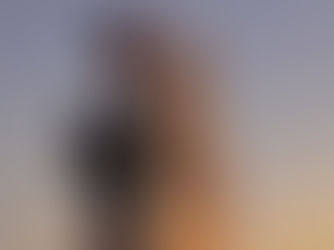 White Sea Bass in California: A Diver's Complete Guide to Regulations, Locations, and Tactics