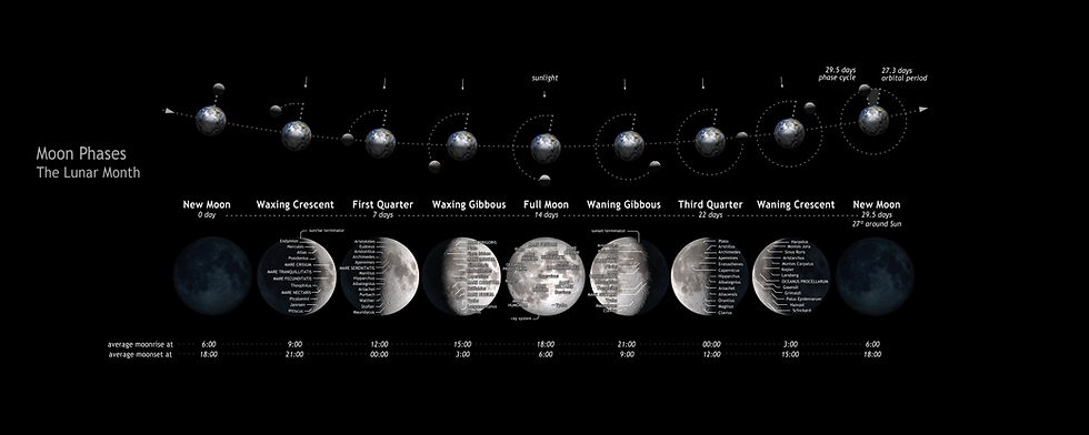 Diagram of the eight phases of the moon across the 29.5-day lunar cycle - new moon, waxing crescent, first quarter, waxing gibbous, full moon, waning gibbous, last quarter, waning crescent.