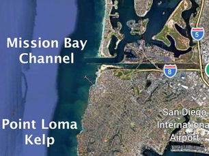 Guide and maps of San Diego spots.