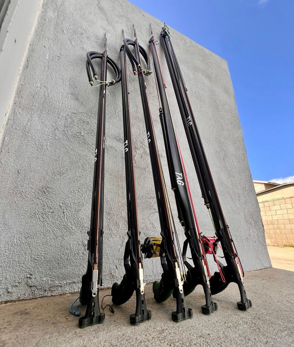 TAG Spearguns offer a variety of sizes.