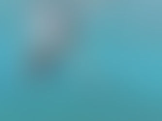 How to Choose Your First Speargun: A No-BS Buying Guide