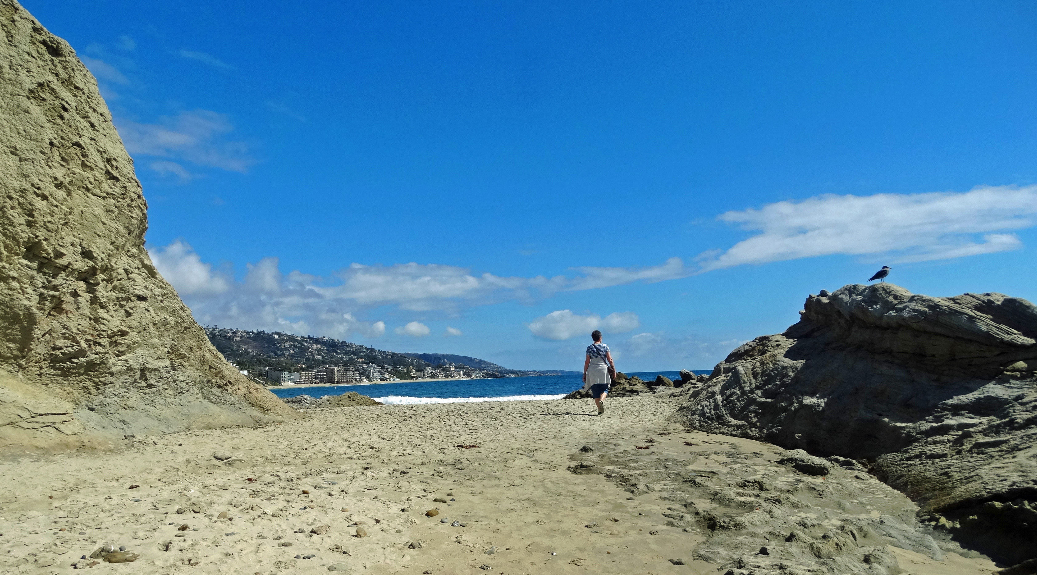 Exposed rocky reef and tide pools at low tide along the Laguna Beach coast