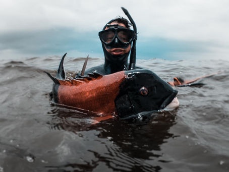 Diver spearfishing in poor visibility murky water
