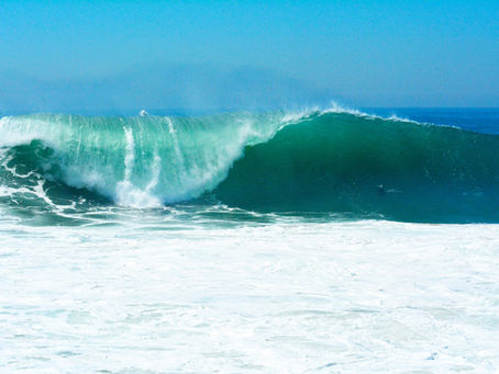 South Swell Incoming: How Tropical Storm Iselle Will Change Your Dive This Week
