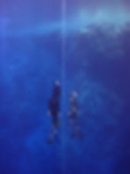 Freediving along a line with spotters for safety, very different than spearfishing even with a buddy