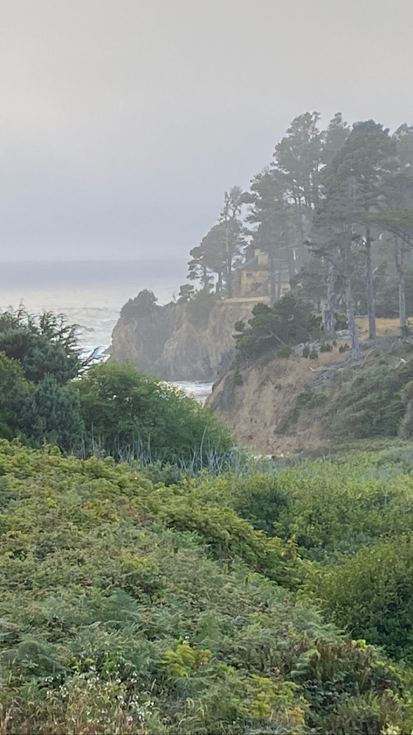 The rocky, rugged coastline of Northern California makes for difficult access points. 