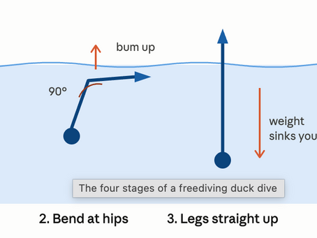 Duck Dive Technique: How to Descend Quietly and Efficiently