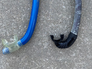 Spearfishing Snorkels: Why Freediving Snorkels Are Different