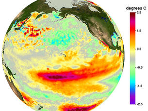 Warm surface temperature anomalies across the Pacific. A marine heatwave stacks a warm surface lens over cold, still-upwelling water below.