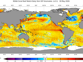Southern California Spearfishing Forecast: June 2026