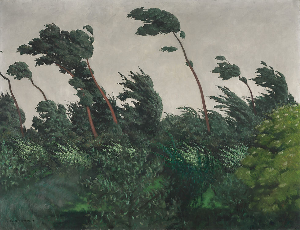 the_wind_1985.64.41.jpg