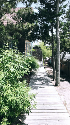 Lots of Travel: Fire Island