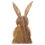 Miniature : Le petit lapin