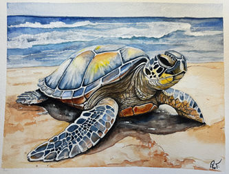 Watercolor illustration of a sea turtle swimming in blue water.