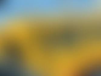 情報収集 支援など